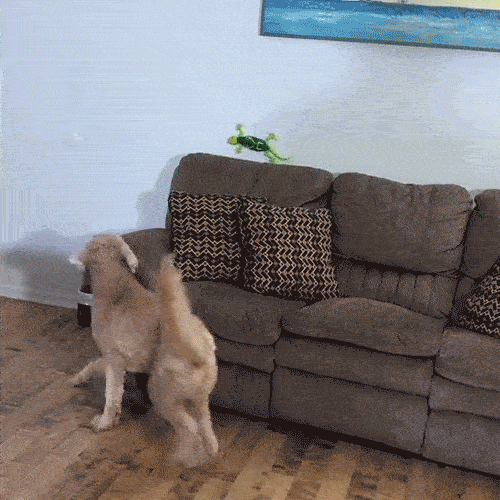 Pack Of 03 Electric Lizard Toy with LED Glowing Eyes